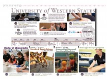 Following brand standards ensures consistency